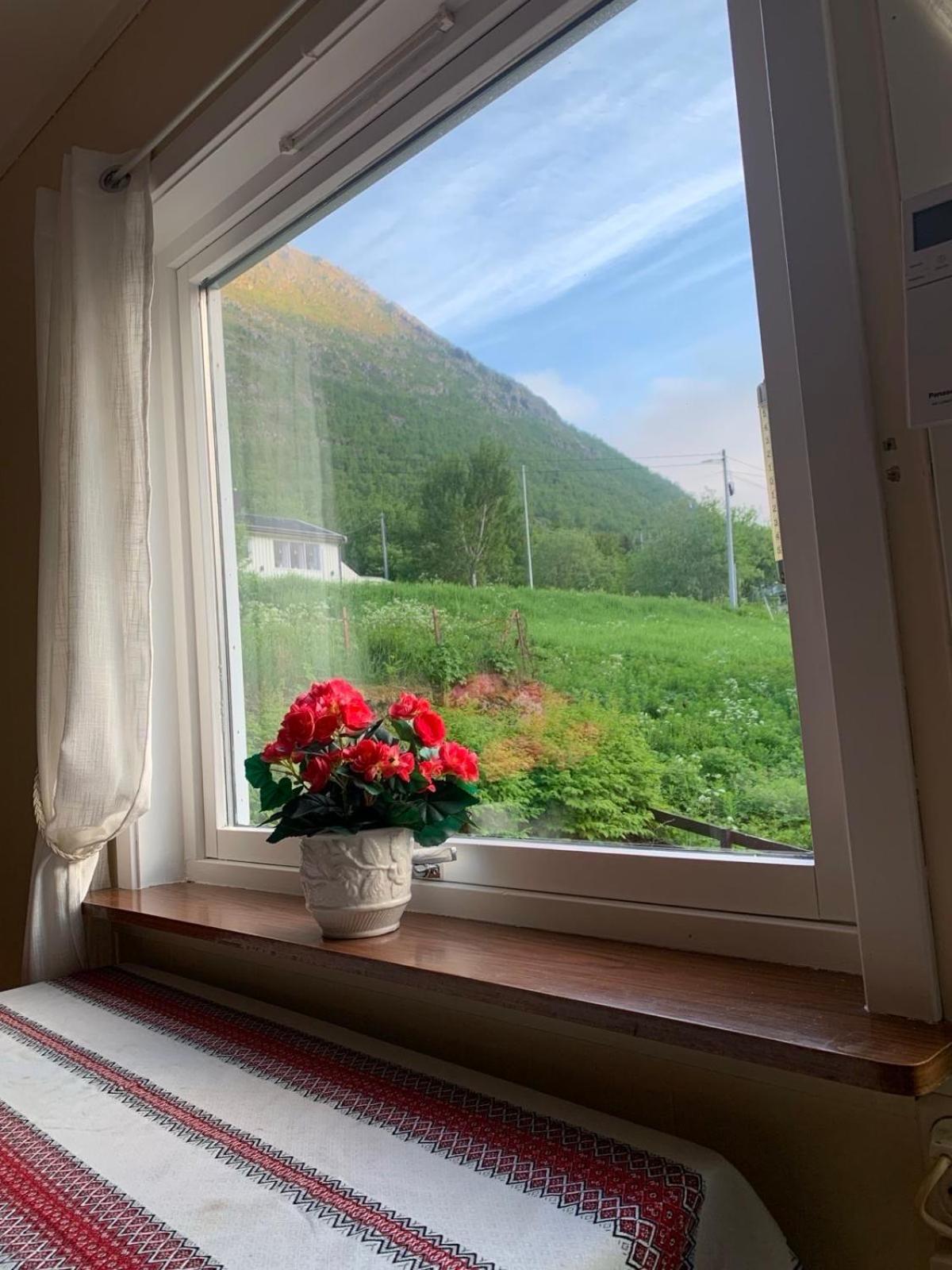 Appartement House à Gryllefjord Extérieur photo